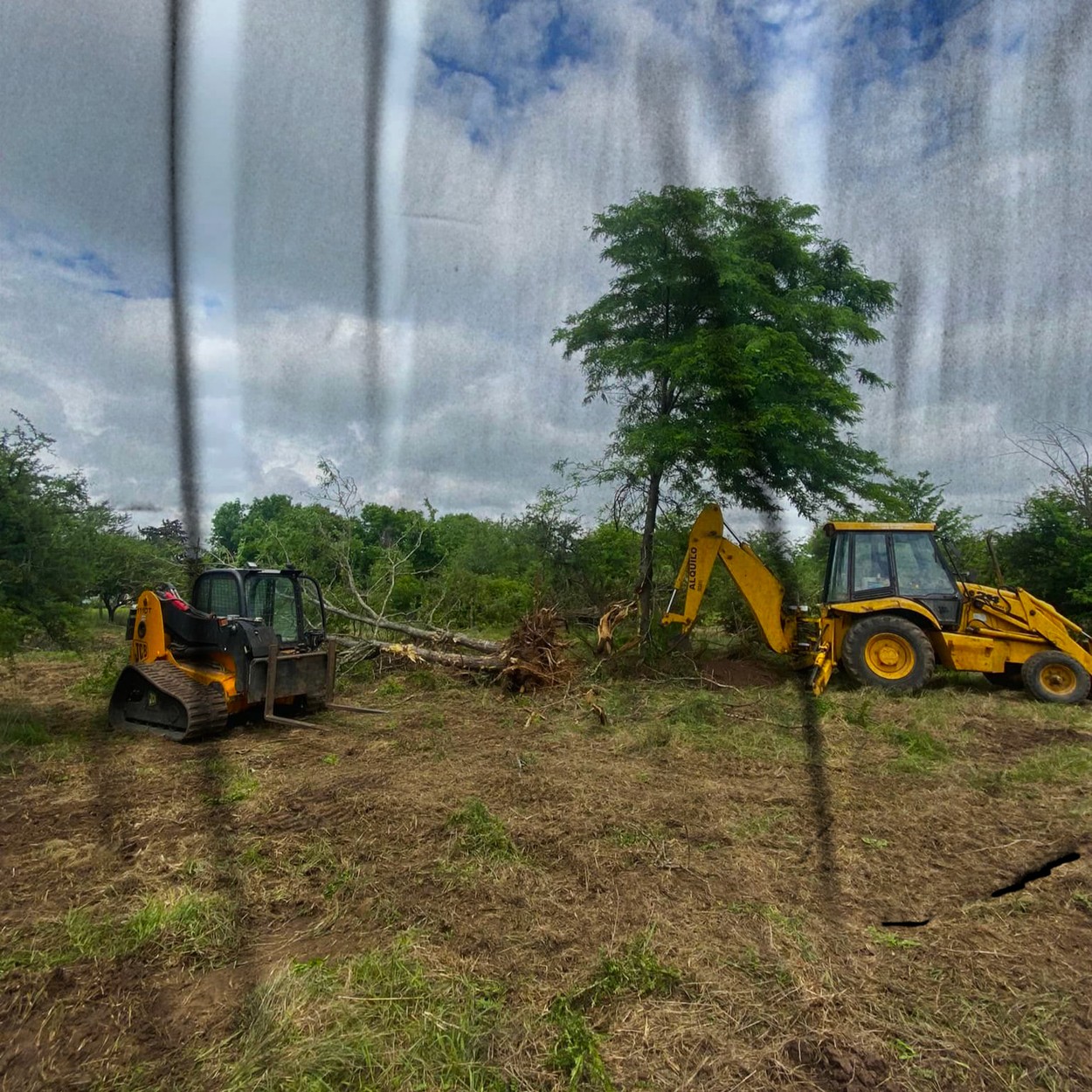 Terreno libre de vegetación después de desmonte